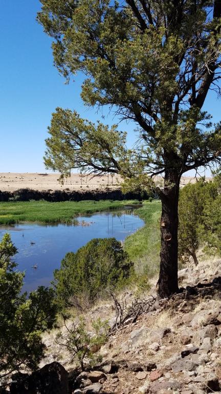 TBD BIG LAKE ROAD, HWY 261, Eagar, AZ 85925