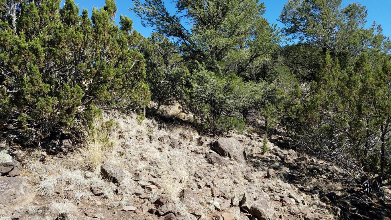 TBD BIG LAKE ROAD, HWY 261, Eagar, AZ 85925