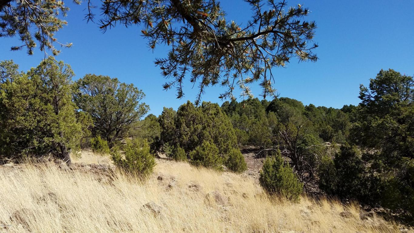 TBD BIG LAKE ROAD, HWY 261, Eagar, AZ 85925