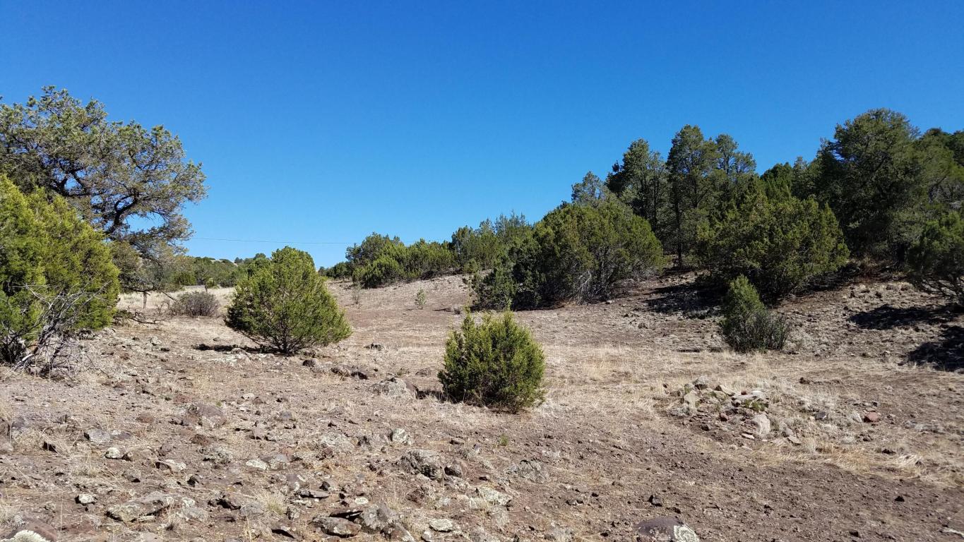TBD BIG LAKE ROAD, HWY 261, Eagar, AZ 85925