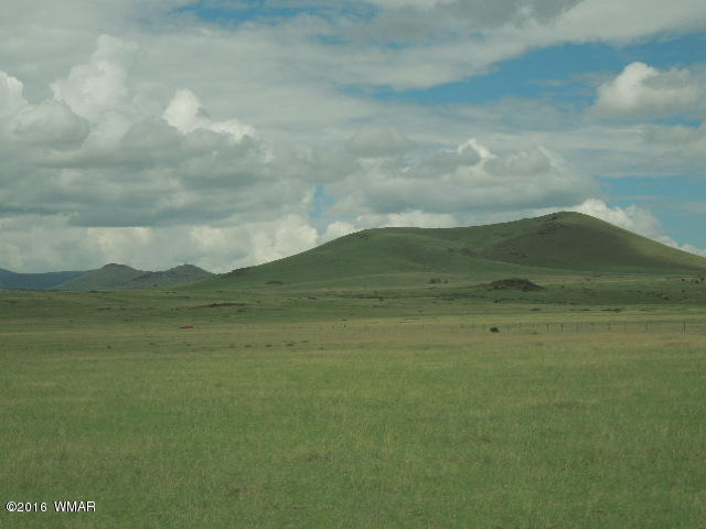 TBD CR 4128, Eagar, AZ 85925