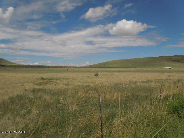 TBD CR 4128, Eagar, AZ 85925