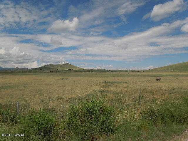 TBD CR 4128, Eagar, AZ 85925