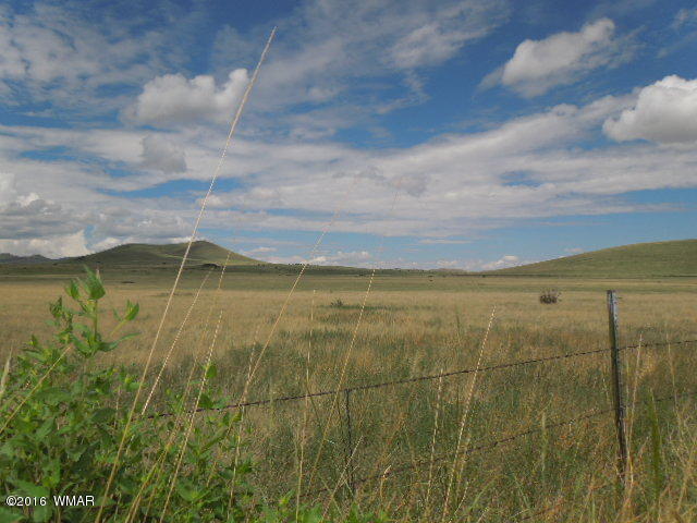 TBD CR 4128, Eagar, AZ 85925