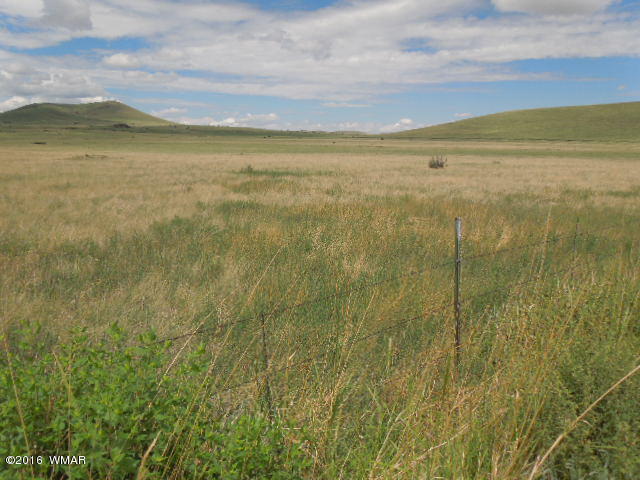 TBD CR 4128, Eagar, AZ 85925