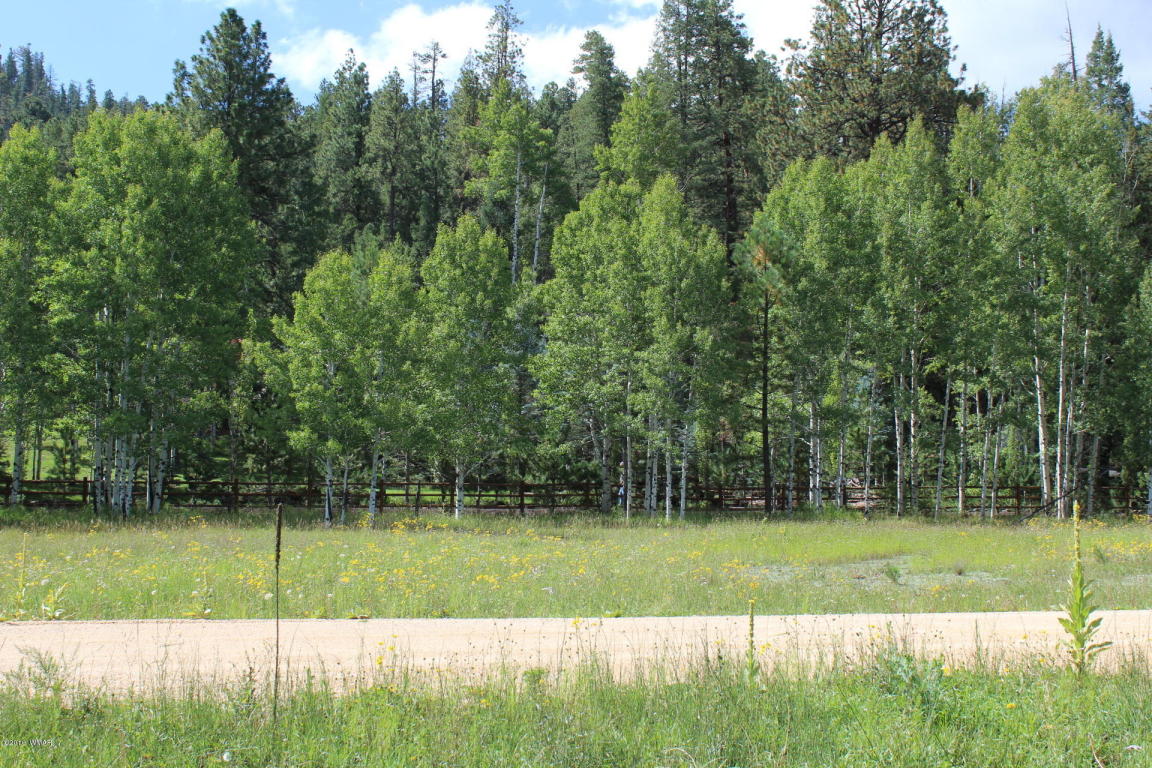 lot ACR 1009, Greer, AZ 85927