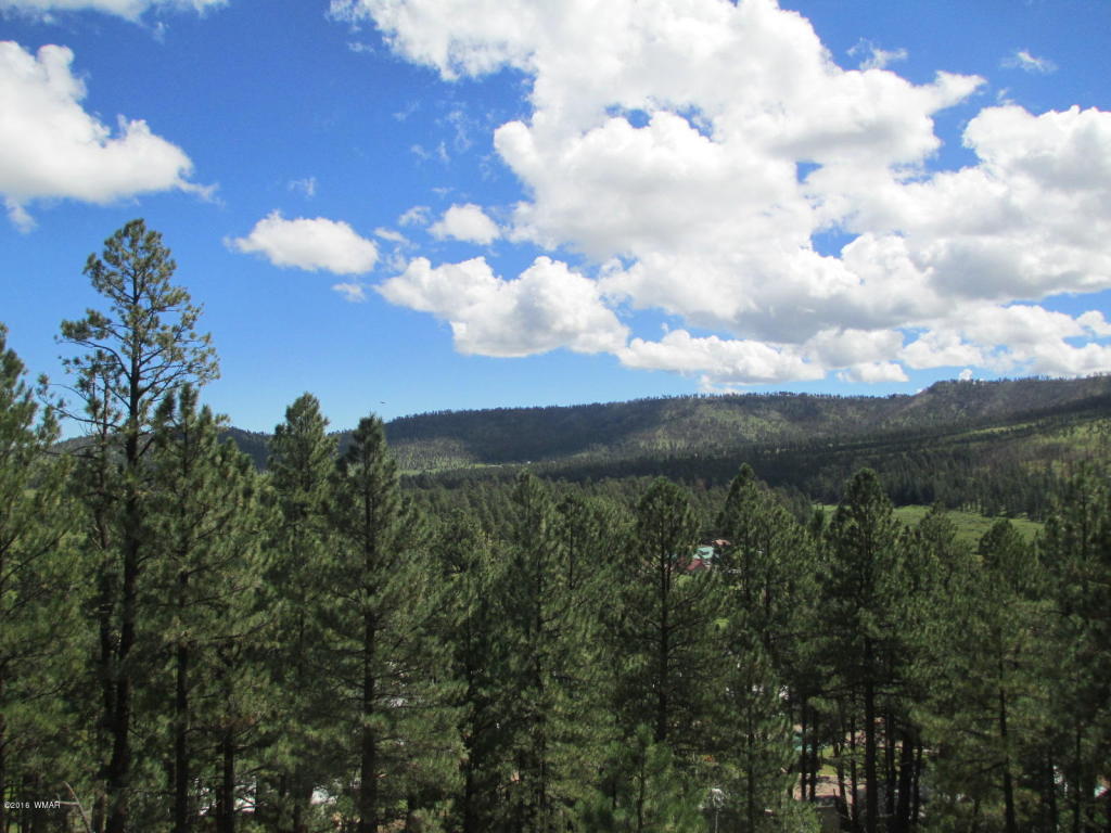 63 APACHE COUNTY RD N1072, Greer, AZ 85927