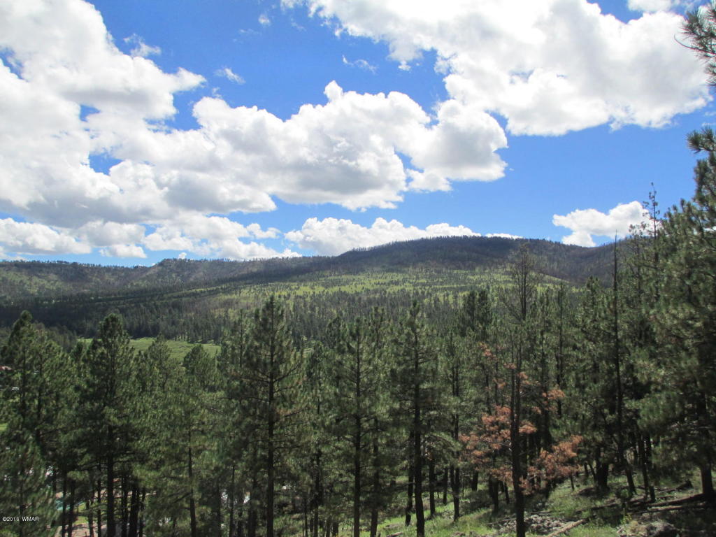 63 APACHE COUNTY RD N1072, Greer, AZ 85927