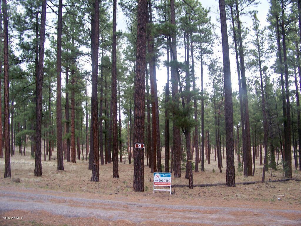 Lot 9 Greer Acres --, Greer, AZ 85927