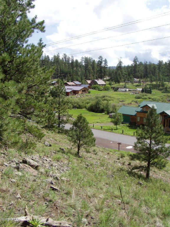 123 N Main Street, Greer, AZ 85927
