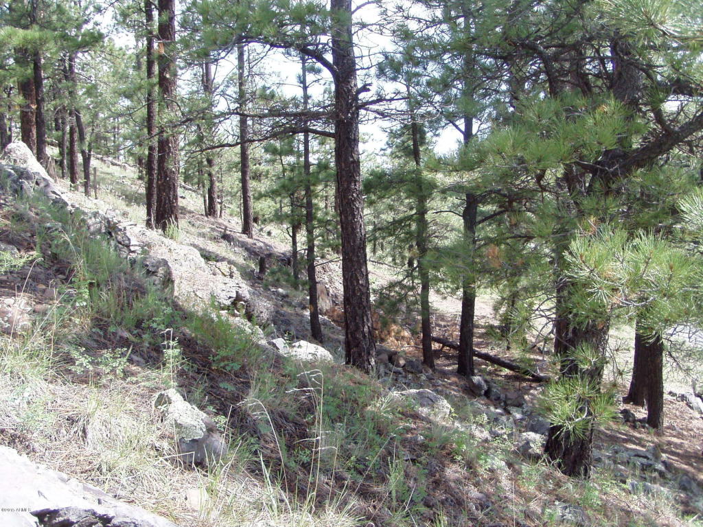 123 N Main Street, Greer, AZ 85927