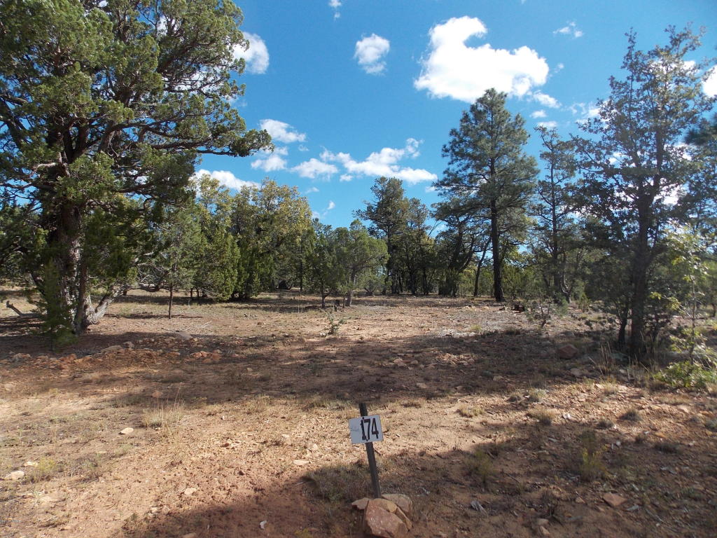 1476 LOW MOUNTAIN Trail, Heber, AZ 85928