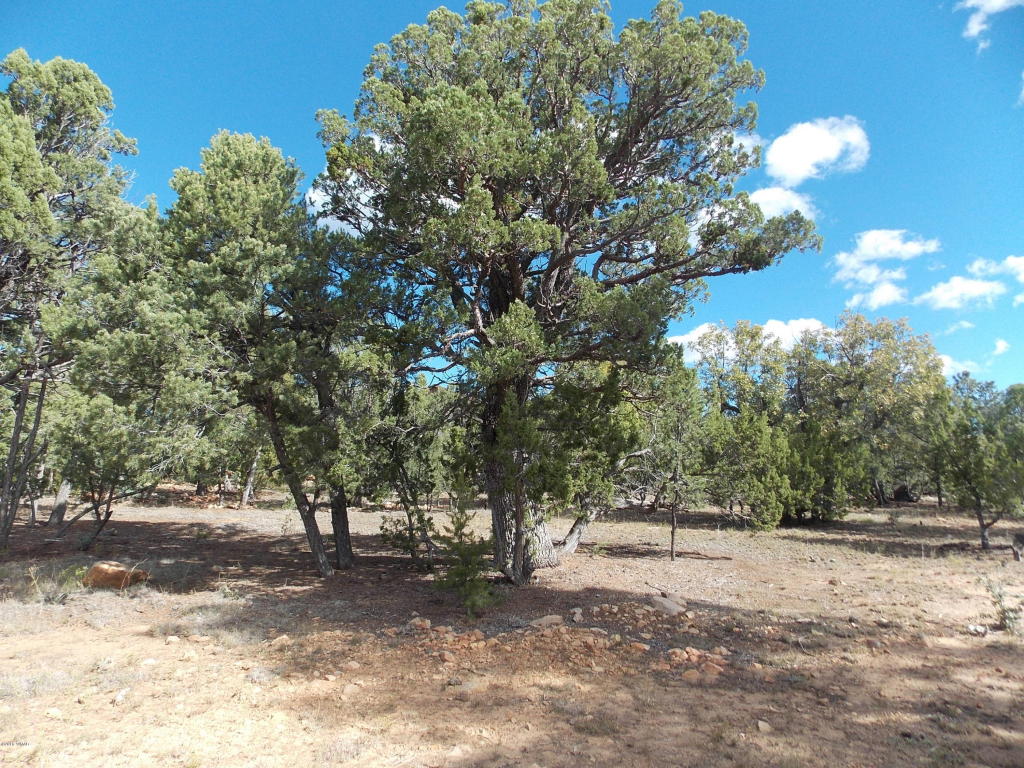 1476 LOW MOUNTAIN Trail, Heber, AZ 85928