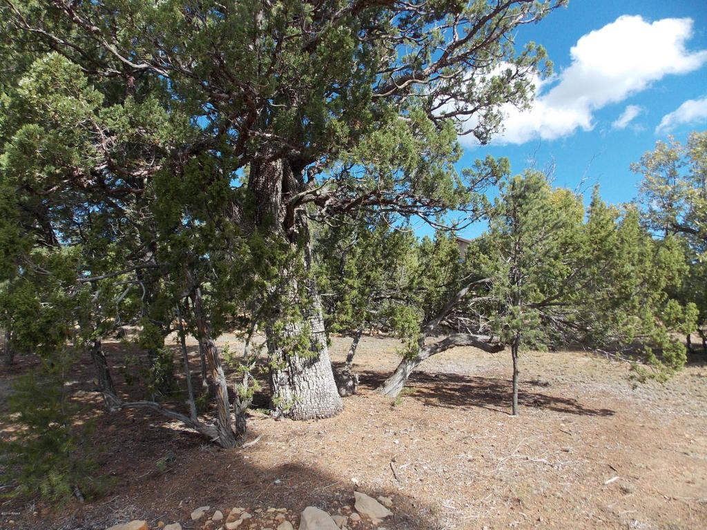 1476 LOW MOUNTAIN Trail, Heber, AZ 85928