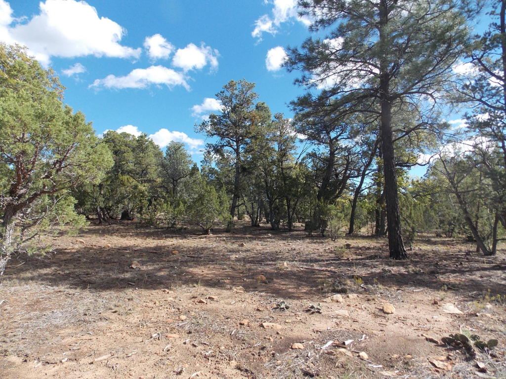 1476 LOW MOUNTAIN Trail, Heber, AZ 85928