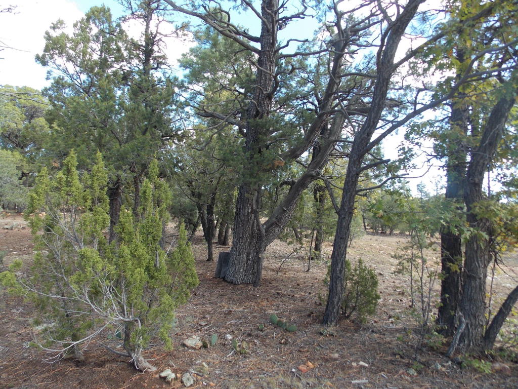 1476 LOW MOUNTAIN Trail, Heber, AZ 85928