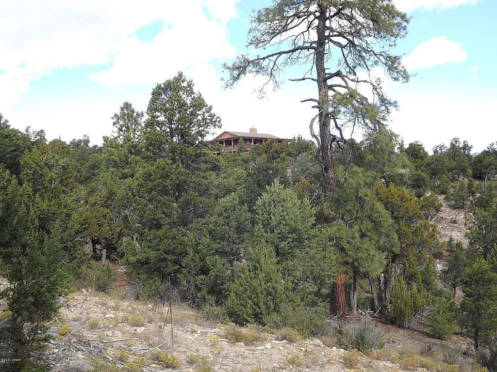 1582 Echo Circle, Heber, AZ 85928