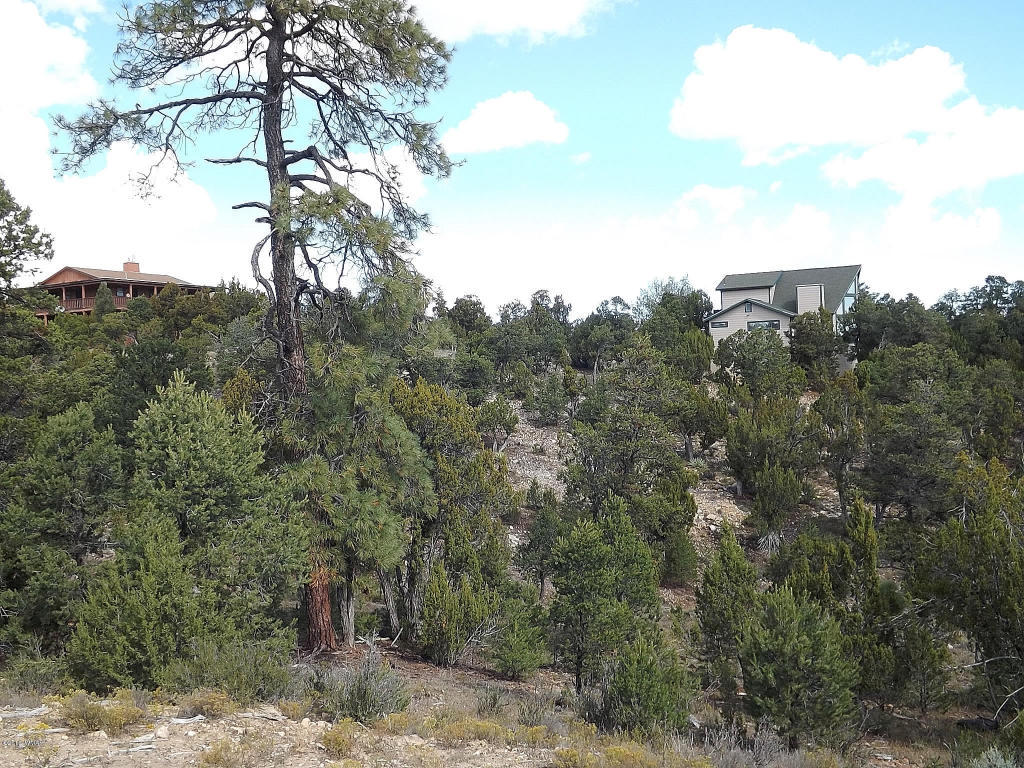 1582 Echo Circle, Heber, AZ 85928