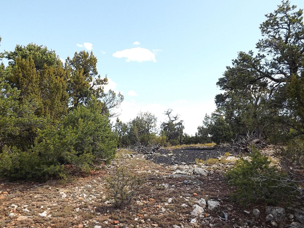 1582 ECHO Circle, Heber, AZ 85928
