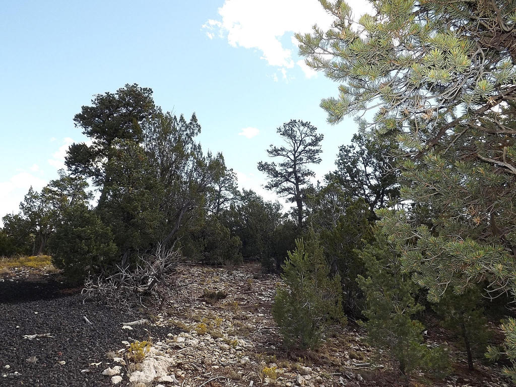 1582 ECHO Circle, Heber, AZ 85928