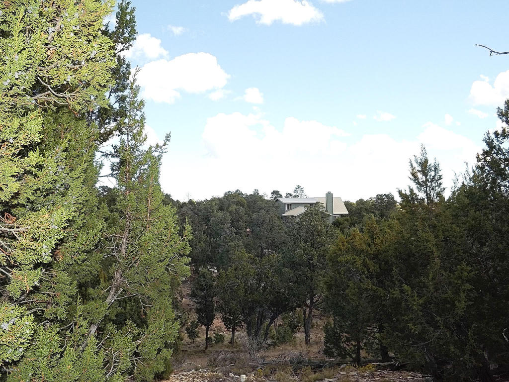 1582 ECHO Circle, Heber, AZ 85928