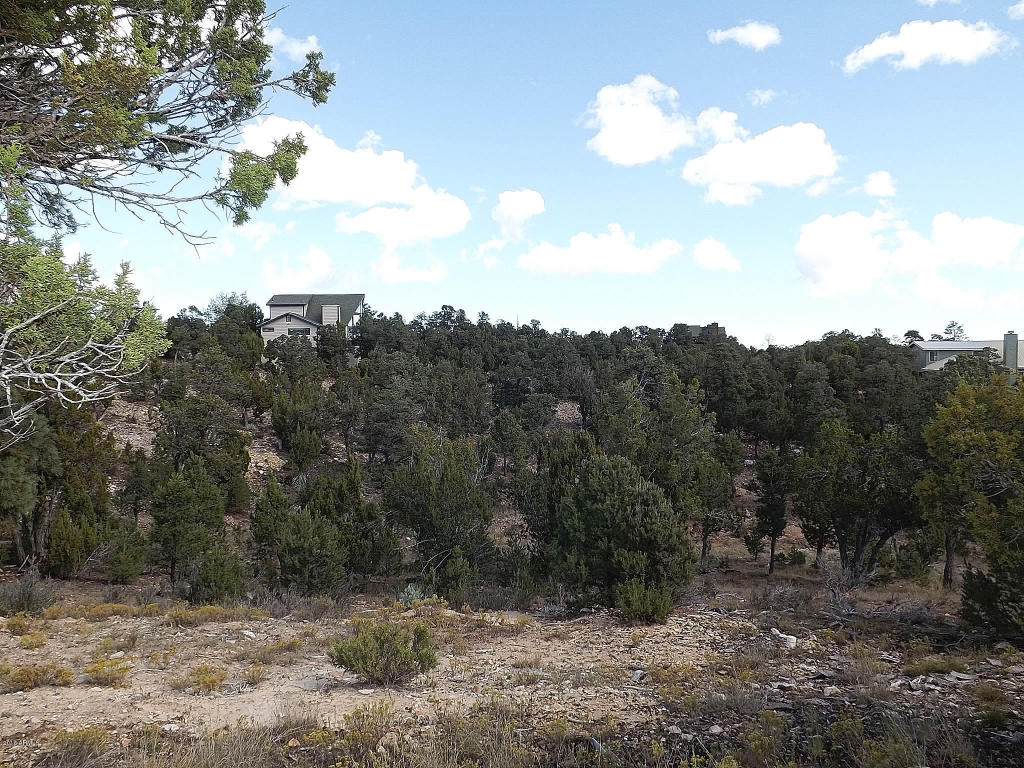 1582 ECHO Circle, Heber, AZ 85928