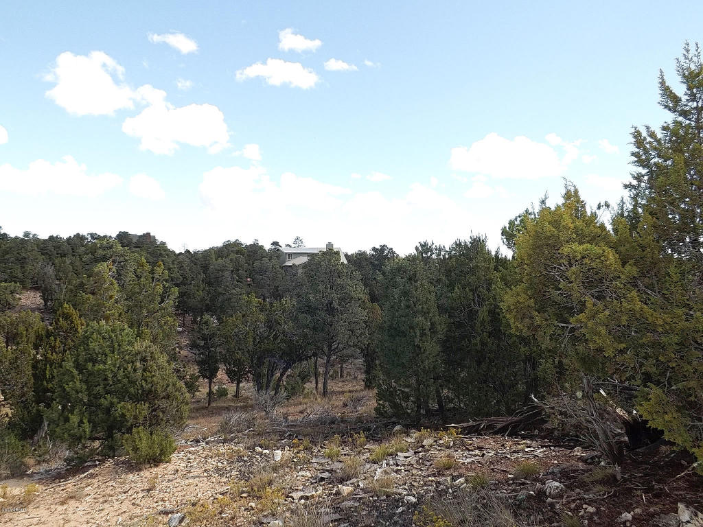 1582 ECHO Circle, Heber, AZ 85928