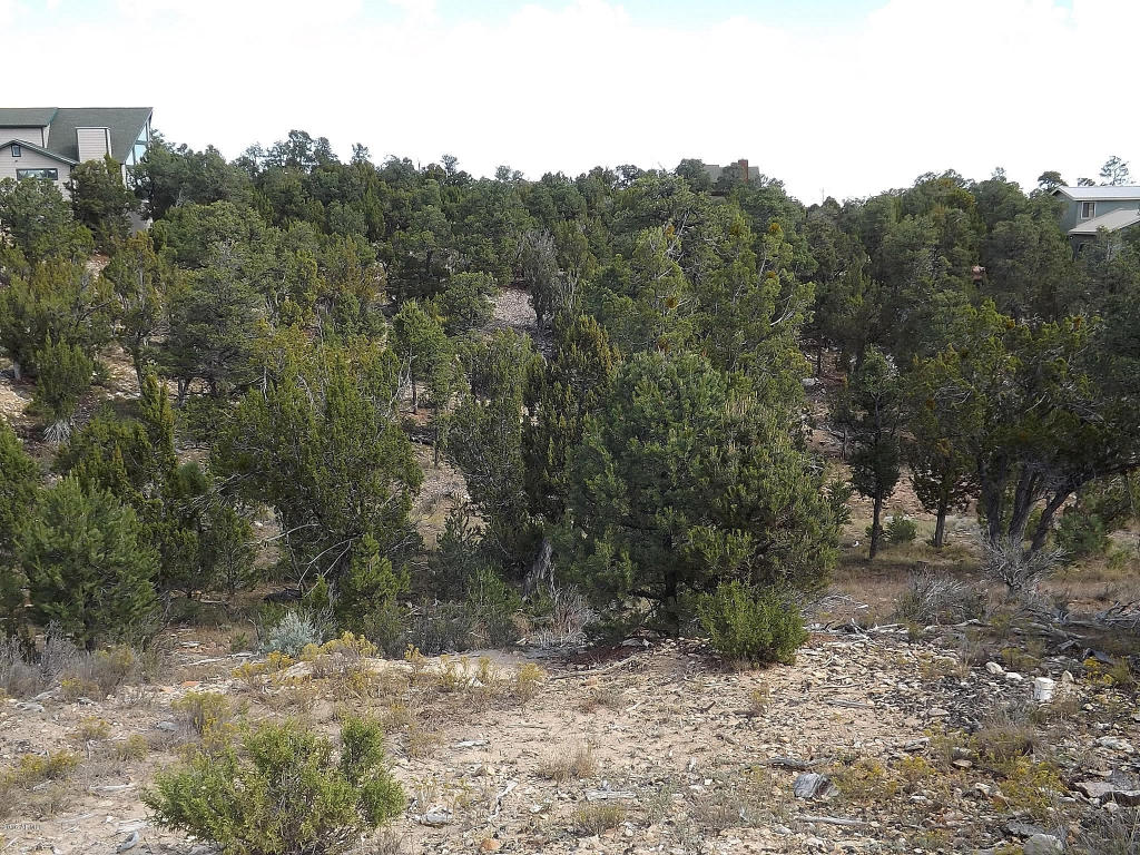 1582 ECHO Circle, Heber, AZ 85928
