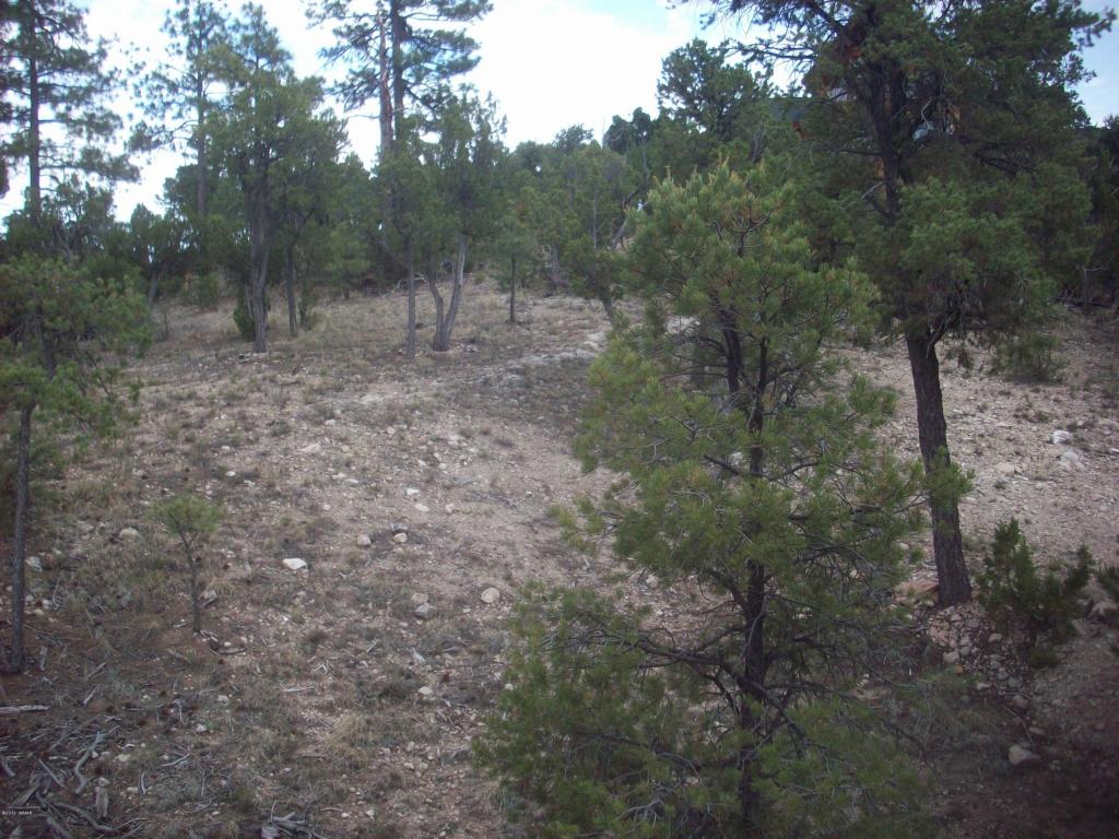 3350 Stone Bridge Trail, Heber, AZ 85928