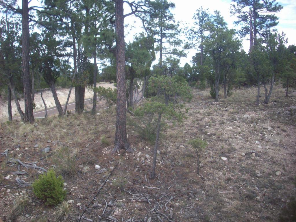 3350 Stone Bridge Trail, Heber, AZ 85928