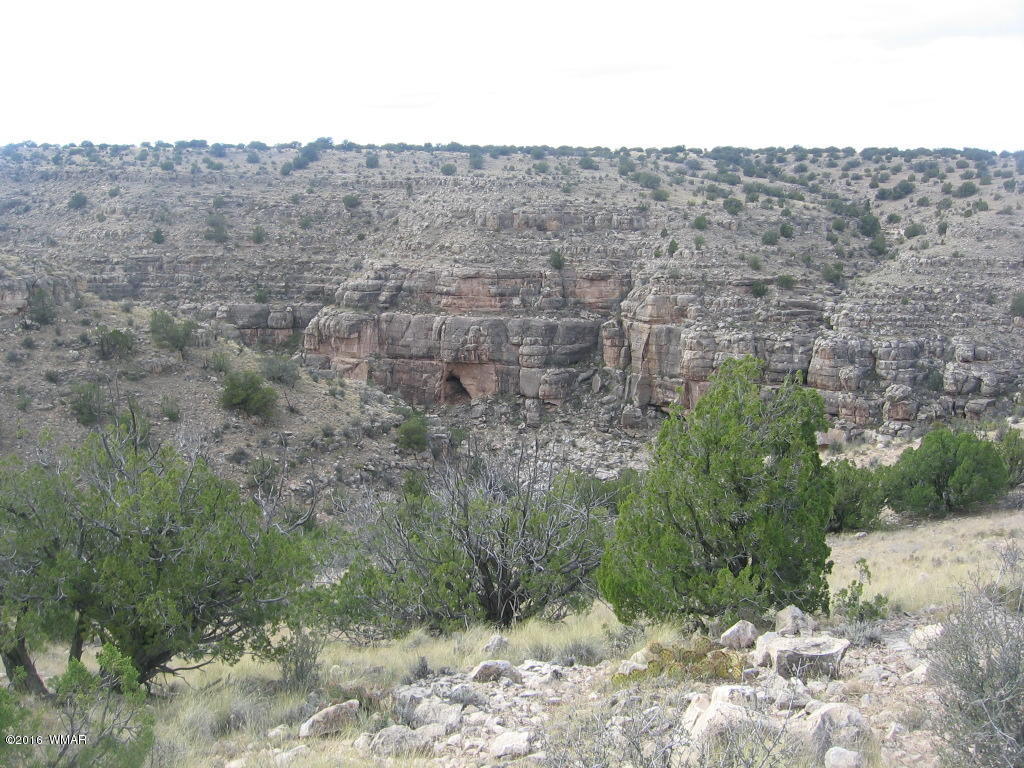 Lot 827 Chevelon Canyon Ranch, Heber, AZ 85928