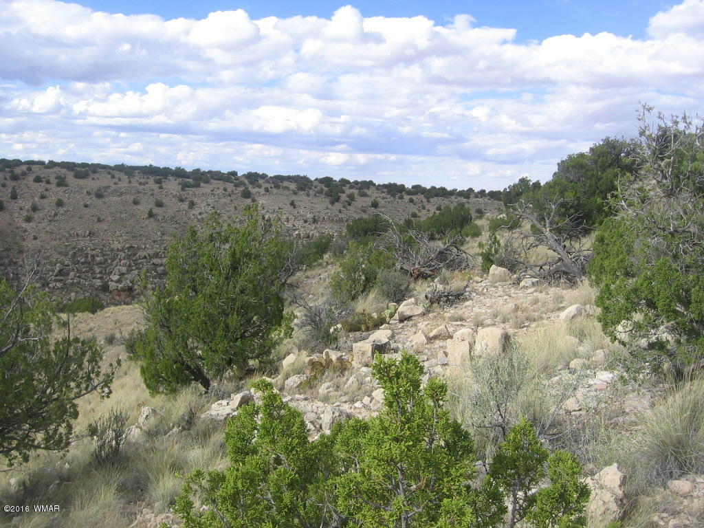 Lot 827 Chevelon Canyon Ranch, Heber, AZ 85928