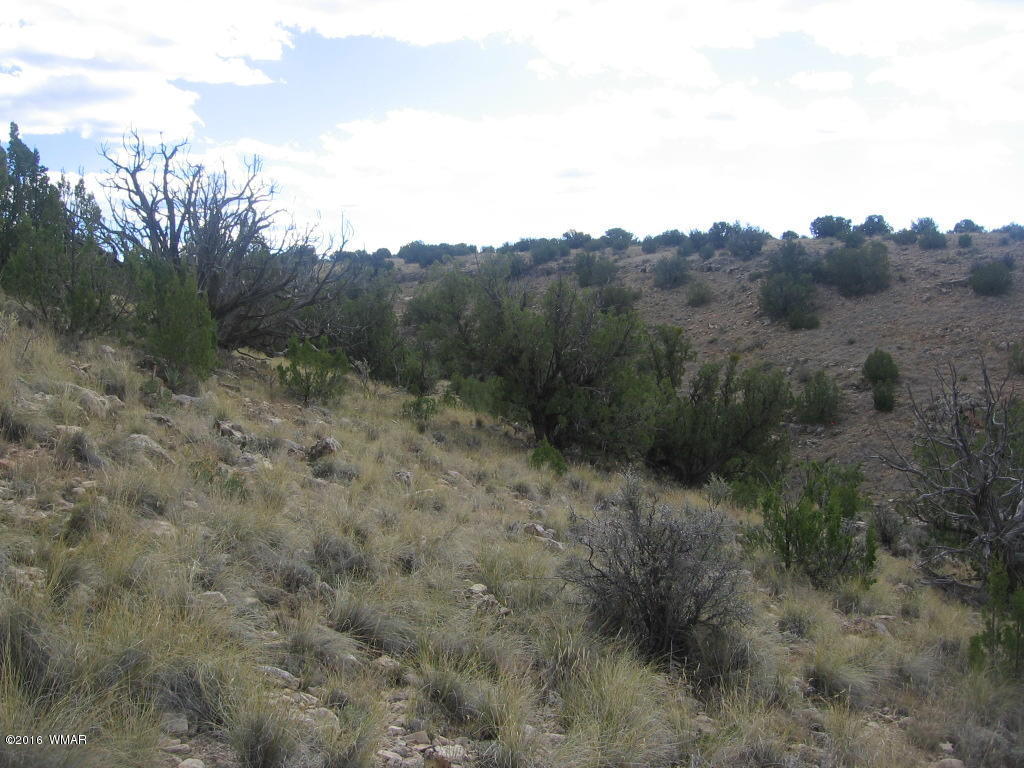 Lot 827 Chevelon Canyon Ranch, Heber, AZ 85928