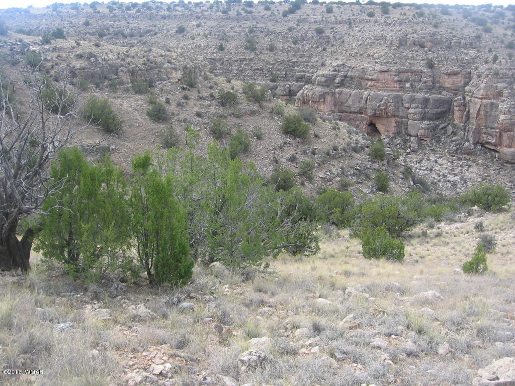 Lot 827 Chevelon Canyon Ranch, Heber, AZ 85928