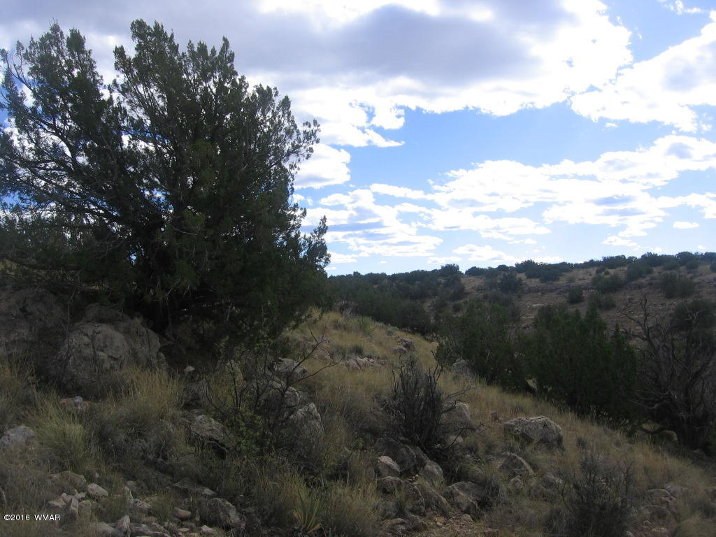 Lot 827 Chevelon Canyon Ranch, Heber, AZ 85928