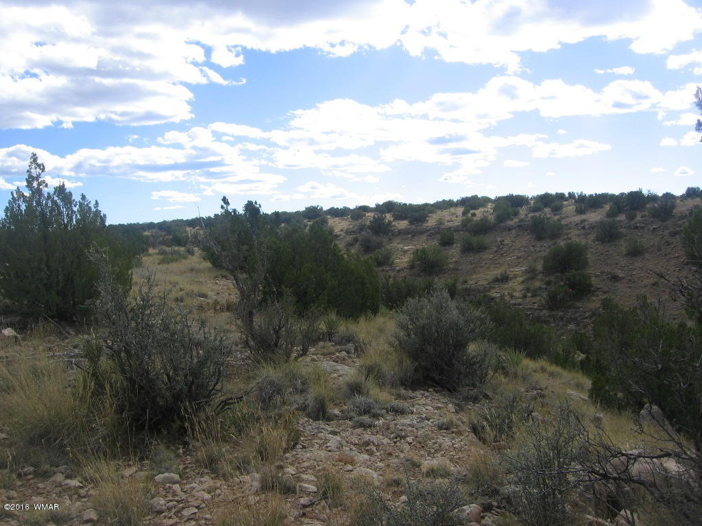 Lot 827 Chevelon Canyon Ranch, Heber, AZ 85928