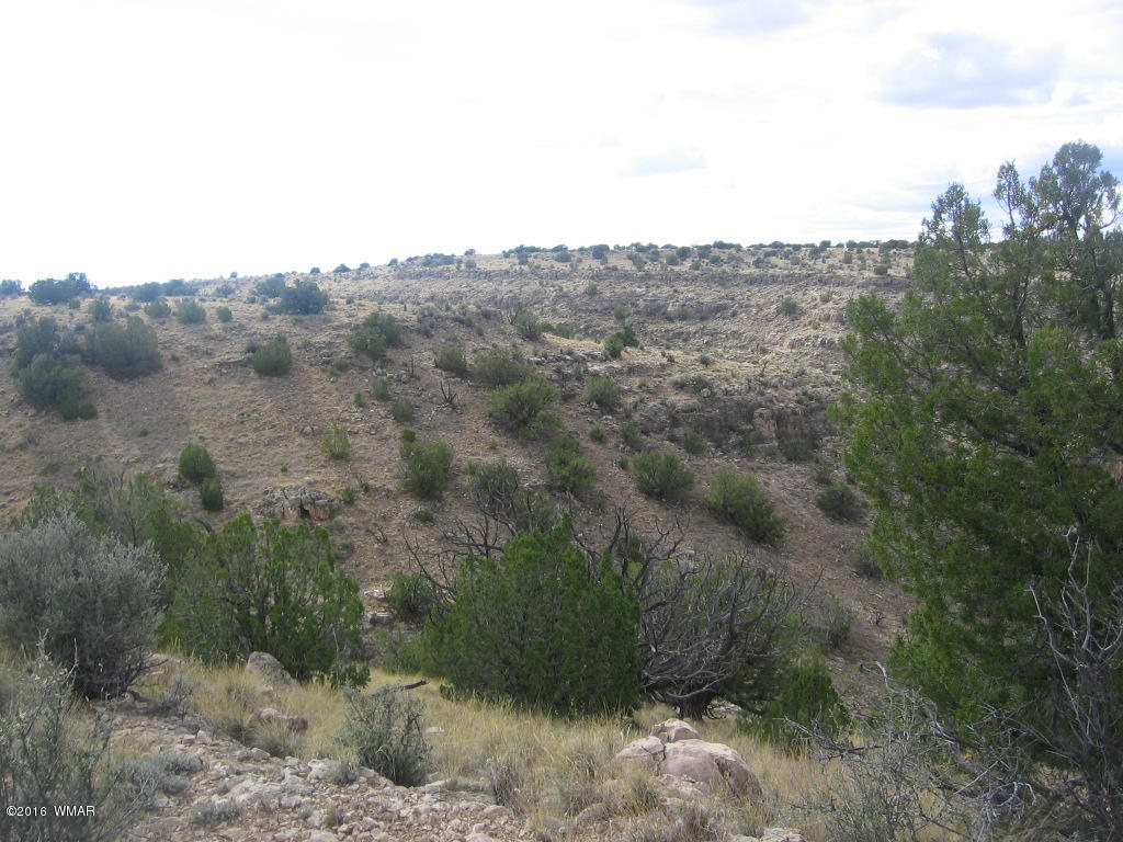 Lot 827 Chevelon Canyon Ranch, Heber, AZ 85928