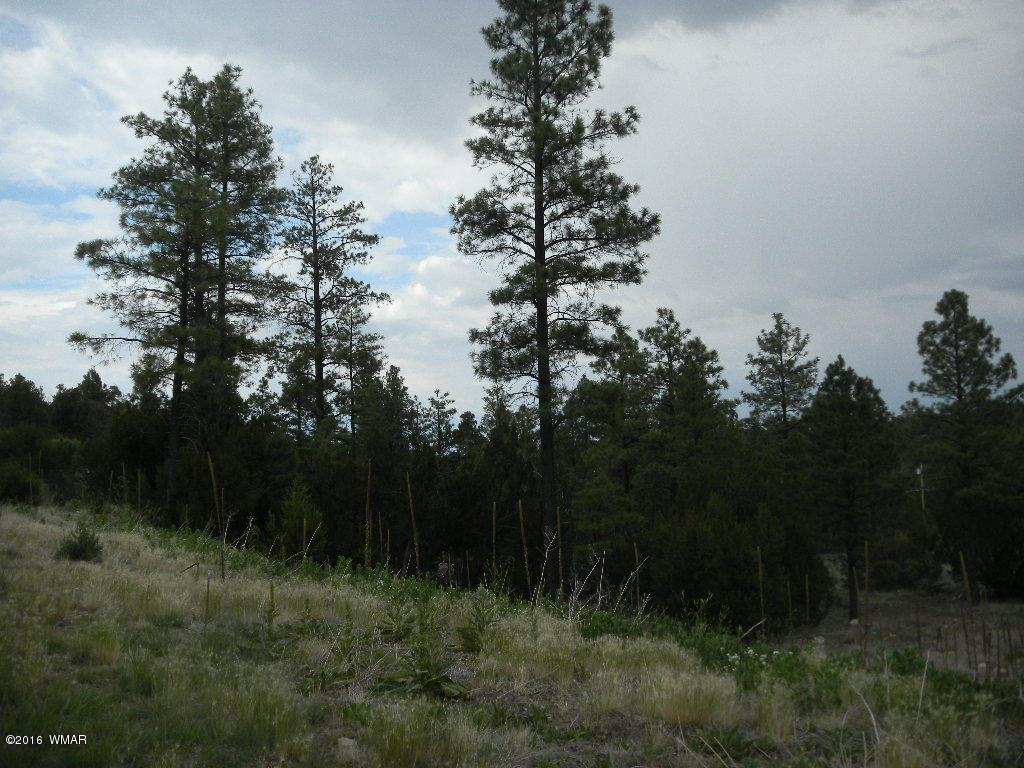 3349 Sawmill Ridge Loop, Heber, AZ 85928