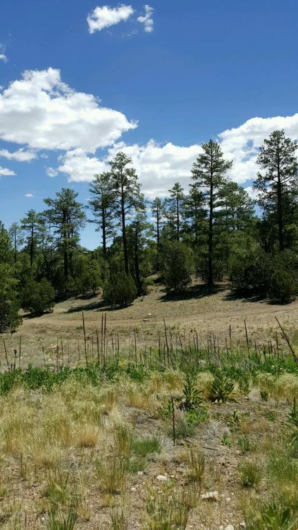 3349 Sawmill Ridge Loop, Heber, AZ 85928