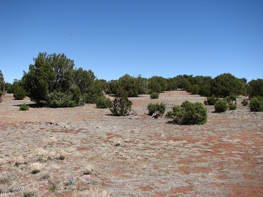 2 Sec. 20 T14N, R17E, Heber, AZ 85928
