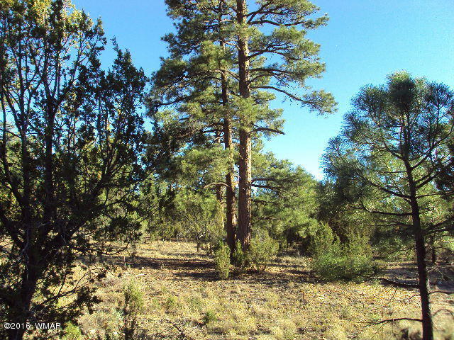 2968 Tamarisk Trail, Heber, AZ 85928