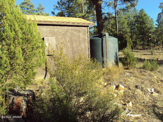 2968 Tamarisk Trail, Heber, AZ 85928