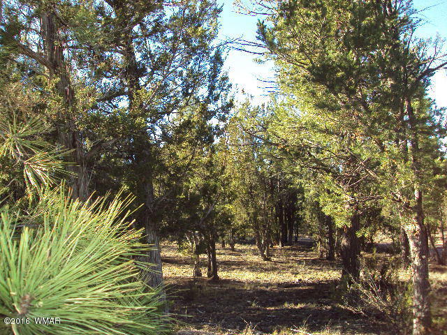 2968 Tamarisk Trail, Heber, AZ 85928