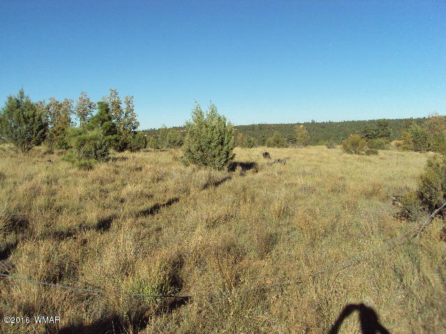 1816 Crest Road, Heber, AZ 85928