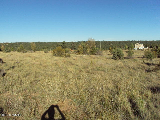 1816 Crest Road, Heber, AZ 85928