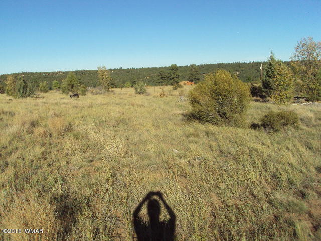 1816 Crest Road, Heber, AZ 85928
