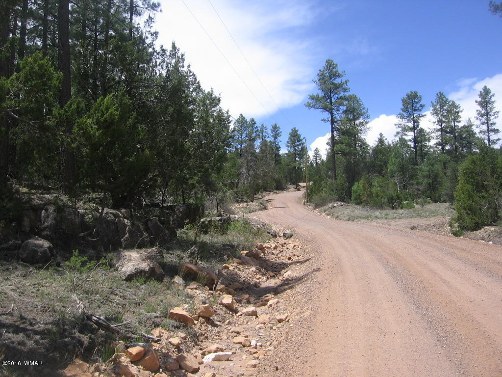 1689 HILL Road, Heber, AZ 85928