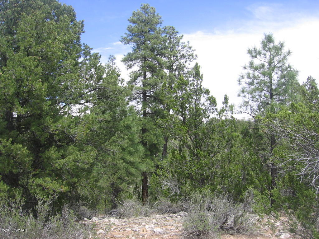 1689 HILL Road, Heber, AZ 85928