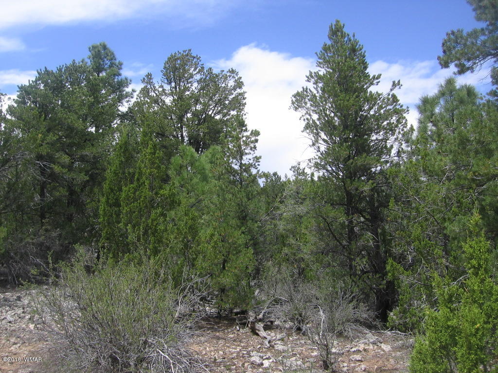 1689 HILL Road, Heber, AZ 85928