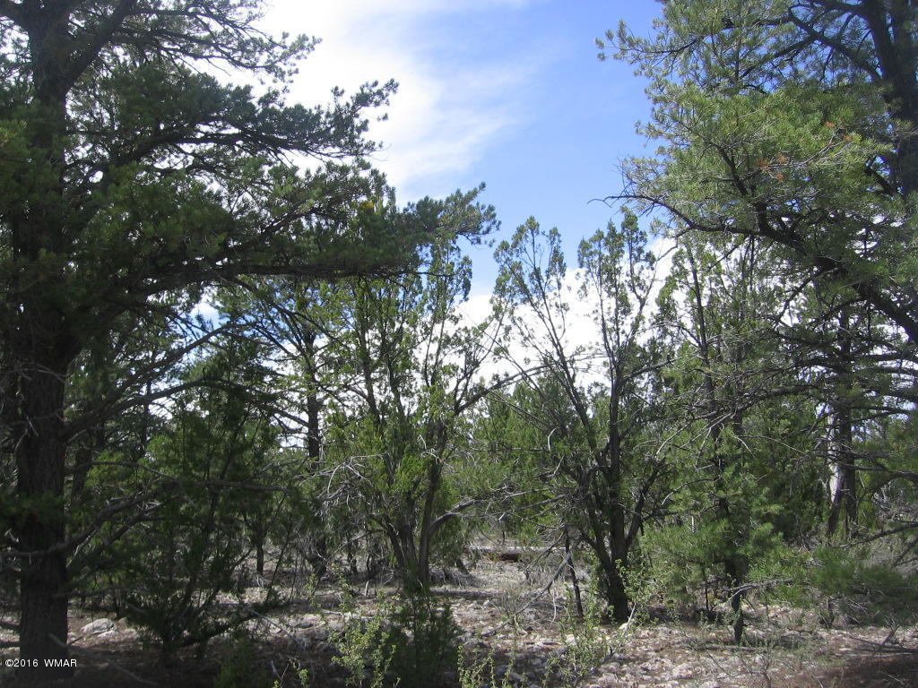 1689 HILL Road, Heber, AZ 85928